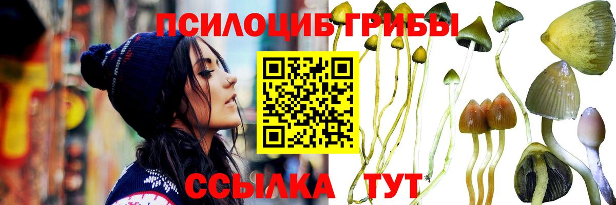 Звенигород  Псилоцибиновые грибы Psilocybine cubensis  Вход с VPN  Псилоцибиновые грибы Psilocybine cubensis 